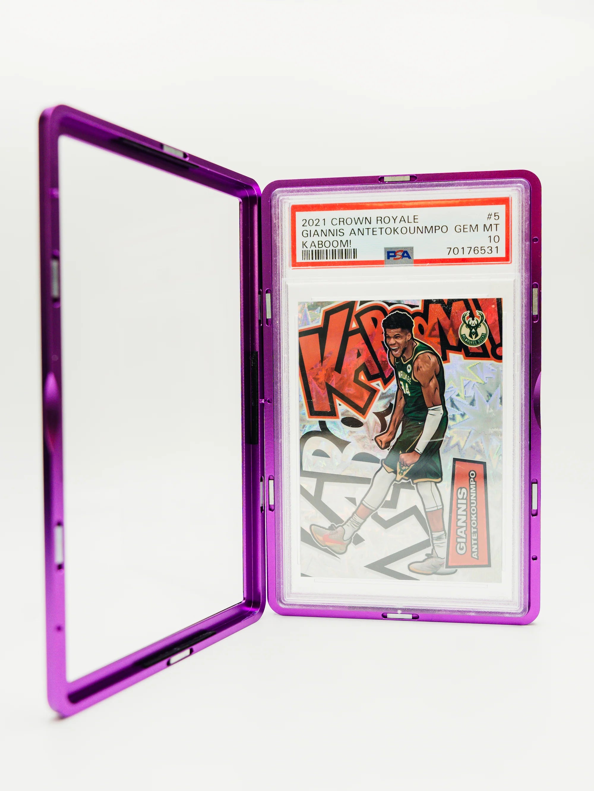 Hiveguard Alu Case